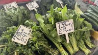 Храните на едро с ай-ниски цени от началото на годината