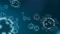 Салмонела и чревни инфекции плъзнаха по морето