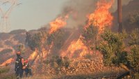 Пожарът в Кипър се смята за най-унищожителния в последните години