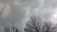 Силен дъжд наводни къщи в с. Войводино  