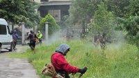 Терзиев: За 10 дни са извозени близо 300 т растителни отпадъци от парк-музей "Врана"