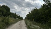 Директор на зоопарк призна: Не изключвам летален изход за хищника в Шуменското плато