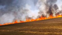 50 пожарникари се борят с пожар край Асеновград (СНИМКИ)