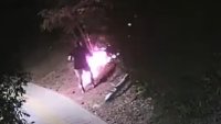 За тероризъм ще бъдат съдени подпалвачите на пожарите във Велико Търново и Сливен