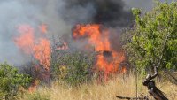 Нови пожари в България, евакуирани са близо 200 души