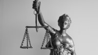 Двама мъже ще лежат в затвора за отсичането на емблематично дърво