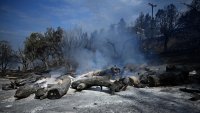 Възрастна двойка загина в пожар в Гърция