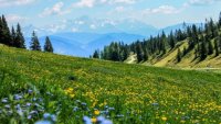 ПСС: Условията за туризъм в планините са много добри