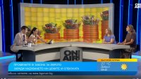Законите за цените и еврото са удар срещу свободния бизнес в България?