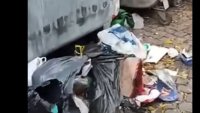 Терзиев: Зло ходи по улиците на "Люлин“ и „Красно село“ и реже торбите с боклук