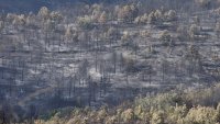 В района на община Струмяни няма активни огнища
