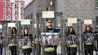В защита на телетата: хора в клетки посрещнаха депутатите СНИМКИ