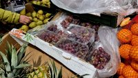 Яна Стратиева: Много сме притеснени, рафтовете в магазините може да останат празни