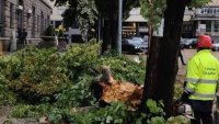 Терзиев: СО получи над 100 сигнала за паднали дървета и клони