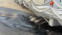 РЗИ - Бургас: Морската вода е чиста въпреки сигналите за мазут