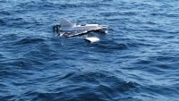 България ще наблюдава Черно море заради взрива на дрон в Румъния  
