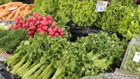 С 20-30% под средното за света е производството на зеленчуци у нас