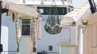 31 млрд. евро от наркотици и 7600 жертви: ЕС обявява нов план срещу кризата