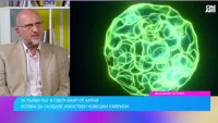 Създадоха изкуствен човешки ембрион, способен да развива собствени органи