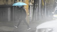 Жълт код за силен и бурен вятър в почти цялата страна
