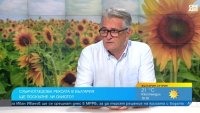 Горещото и сухо лято продължава, ще удари ли цената на олиото?