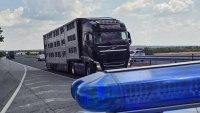 ИПБ: Сънната апнея да бъде призната като риск за пътната безопасност