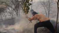 Наложиха пълна забрана за влизане в горите на Северна Гърция 