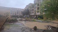 Екип доброволци от Пловдив и Бургас пътуват към Елените
