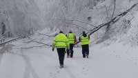 АПИ: Снеговалеж и намалена видимост на "Петрохан