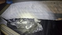 Цял боен арсенал &ndash; 73 пистолета, заловиха в камион на &bdquo;Капитан Андреево&ldquo;