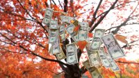 Зодиите, които ще забогатеят през тази есен