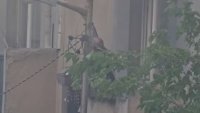 Мъж е стрелял с пушка от тераса в столичния квартал "Сухата река" ВИДЕО