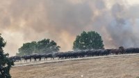 Частично бедствено положение е обявено в 4 села заради пожара в Хасковско