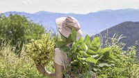 ПСС: Ясно и слънчево е времето в планините