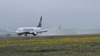Потребителски организации искат да съдят 7 авиокомпании заради цените им за ръчен багаж