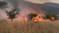 Около 150 дка пшеница са изгорели при пожар днес край Генерал Тошево