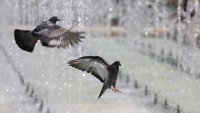 Предупреждение: В следващите пет дни в България ще е ад 