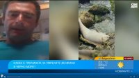 Рибарски мрежи ли са причина за мъртвите делфини край Балчик?