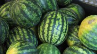 Спор между продавачи: Клиент отнесе диня по главата си 