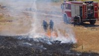 Пожарът в Пловдивско се разгоря отново