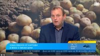 Масов внос на картофи от чужбина на ниски цени, българските не стигат