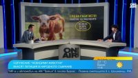 Сдружение “Невидими животни” настоява за забрана на клетките за телета