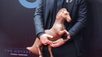 Гърция даде 6,5 млн. евро, а във филма "Одисея&ldquo; няма нито един грък