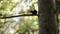 Топла и слънчева събота, по морето облачността ще е значителна