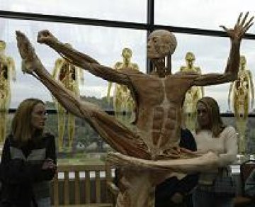 Посетители разглеждат изложбата Body Worlds в Калифорния. Снимка: Corbis