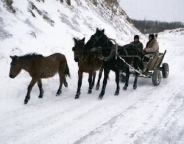 Първа жертва на студа за тази година