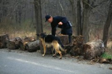 Турски инвеститор заклан с ножица в Долна баня