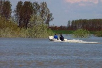 Днес река Дунав празнува