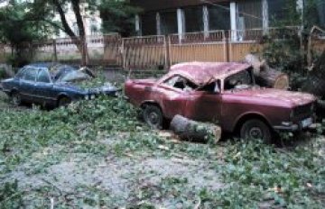 Пороят отнесе дървета в столицата, в Панчарево има спукани тръби