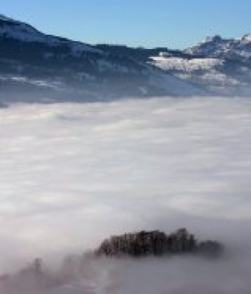 Швейцария нападна Лихтенщайн погрешка, било тъмно